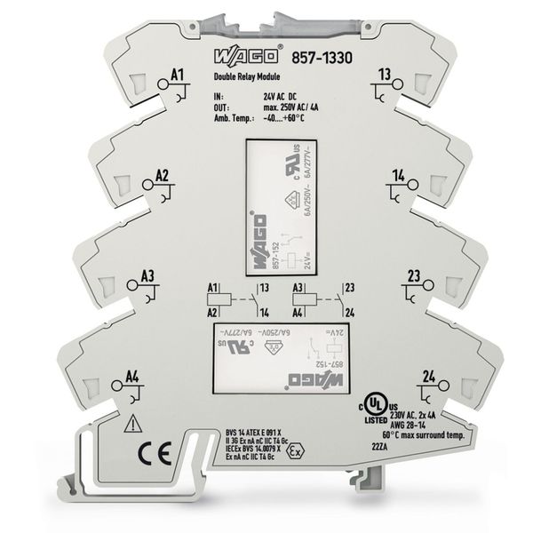 Relay module 2-port Nominal input voltage: 24 V AC/DC image 2