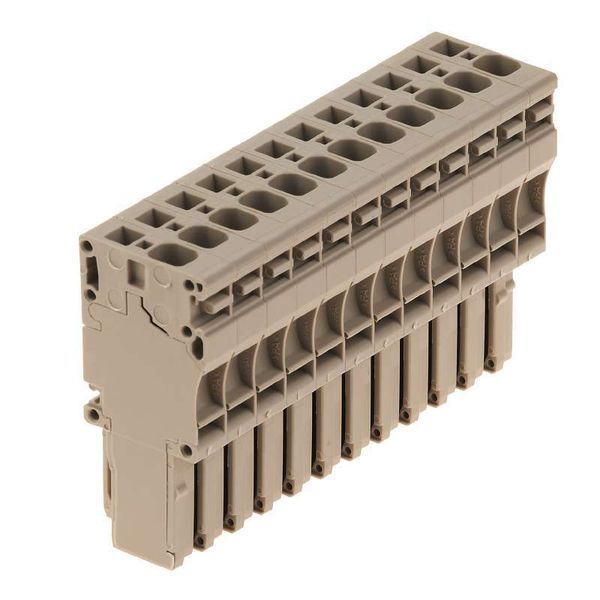 Plug (terminal), Tension-clamp connection, 4 mm², 800 V, 32 A, Number  image 1