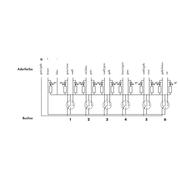 M12 sensor/actuator box 6-way 5-pole image 3