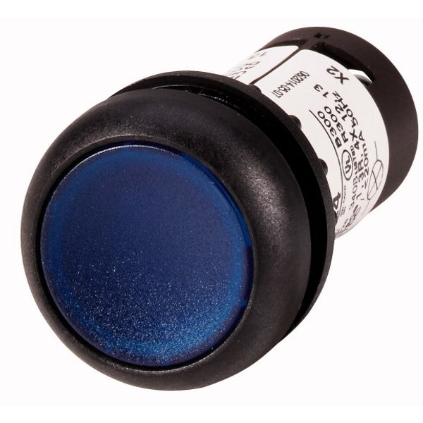 Illuminated pushbutton actuator, Flat, maintained, 1 N/O, Screw connection, LED Blue, Blue, Blank, 24 V AC/DC, Bezel: black image 1