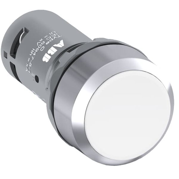 CP1-30W-20 Pushbutton image 1