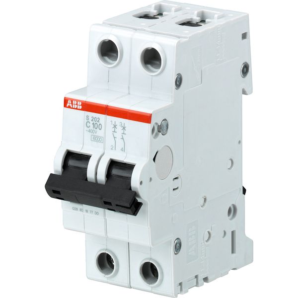 S202-B80 Miniature Circuit Breaker - 2P - B - 80 A image 1