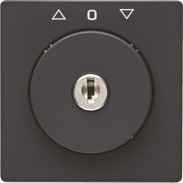Centre plate lock key switch blinds imprint Berker Q.x black image 1