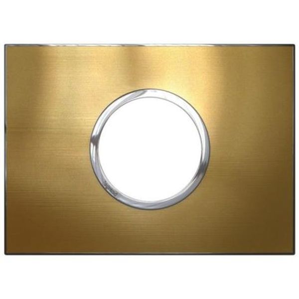 Arteor™ - Plate - Italian / US std - round - 2 modules - gold brass image 1