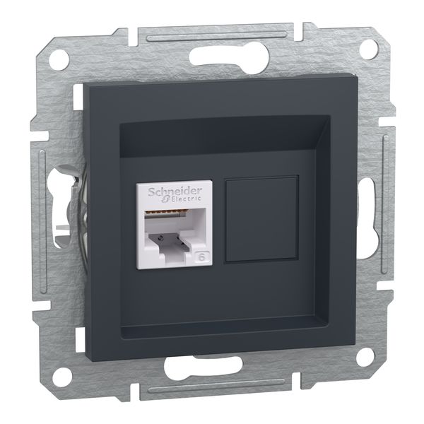 Asfora - Data socket cat6 UTP, wo frame, anthracite image 3