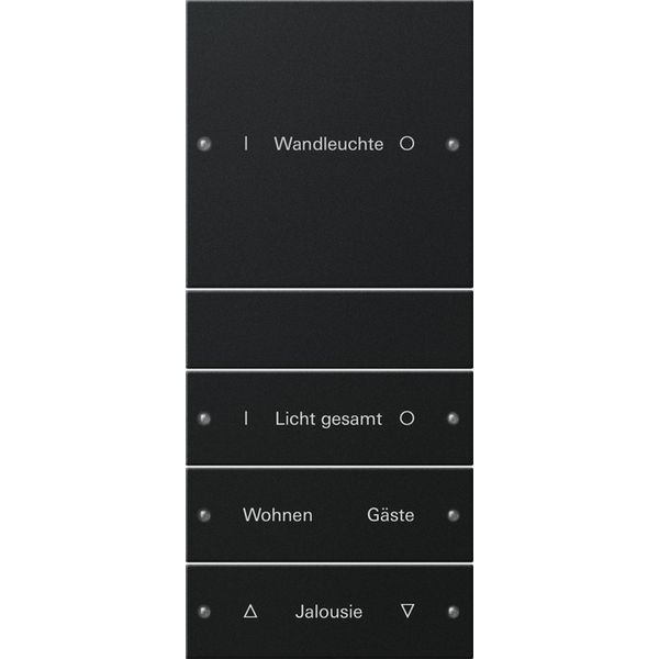 rocker set 4-g (1+3) inscr. System 55 black m(lac.) image 1