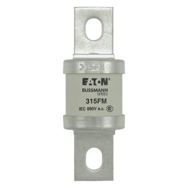 5.5KV 125E BHLE FUSE image 9