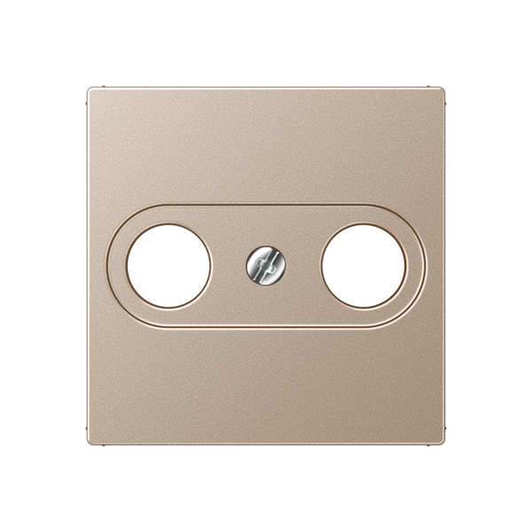 Centre plate for TV-FM-SAT socket A561PLTVCH image 3