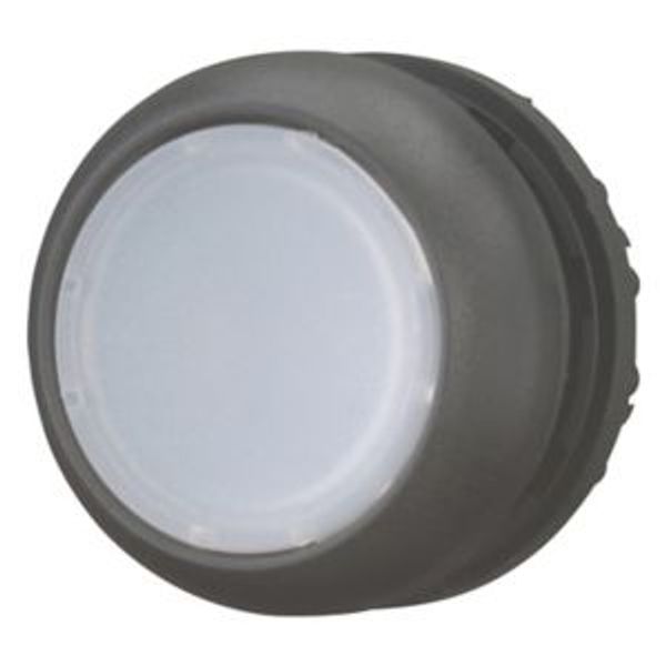 Illuminated pushbutton actuator, RMQ-Titan, Flush, momentary, White, Blank, Bezel: black image 2