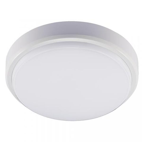 LED outdoor - wall light 7W 550lm 4000K IP54  - White image 1