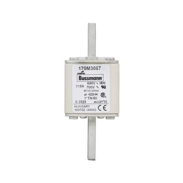 Fuse-link, high speed, 315 A, AC 690 V, compact DIN 1, 45 x 58 x 104 mm, aR, DIN, IEC, single indicator image 10