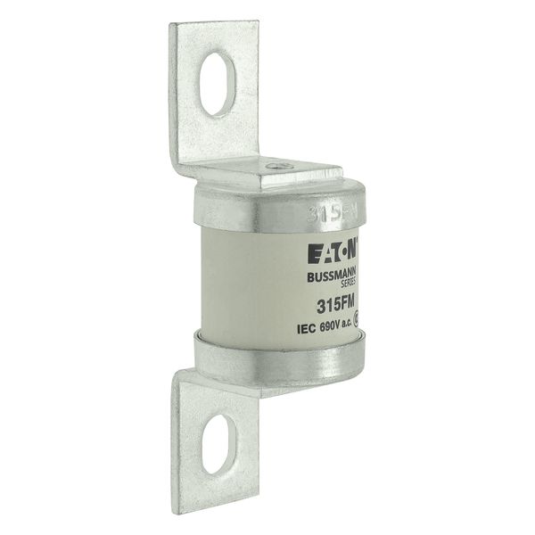 5.5KV 125E BHLE FUSE image 21