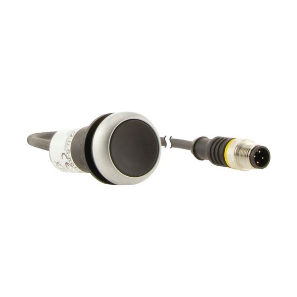 Pushbutton, Flat, momentary, 1 NC, Cable (black) with M12A plug, 4 pole, 0.5 m, black, Blank, Bezel: titanium image 16