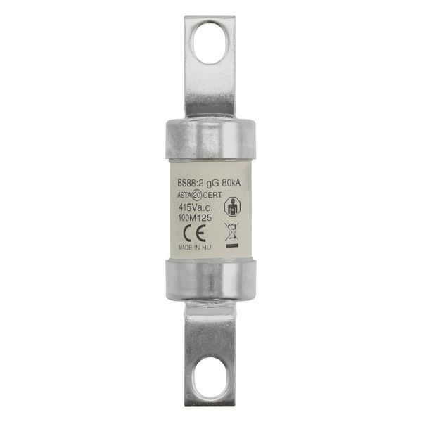 Fuse-link, LV, 100 A, AC 415 V, BS88/A4, 27 x 110 mm, gM, BS, 100M125 image 22