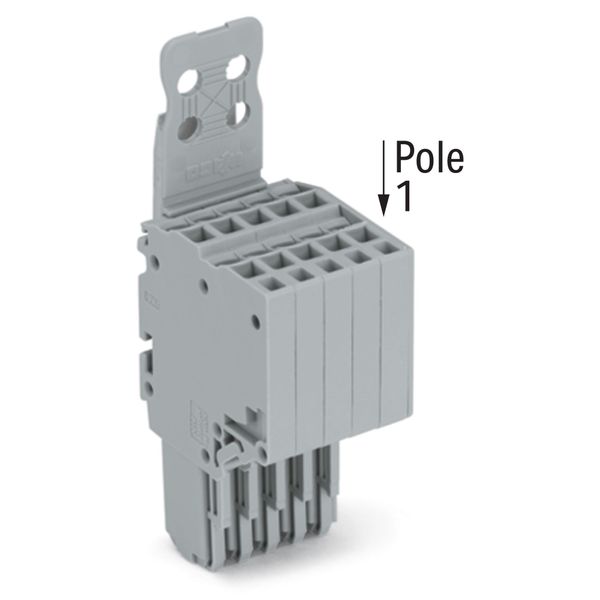 2-conductor female connector Push-in CAGE CLAMP® 1.5 mm² gray image 2