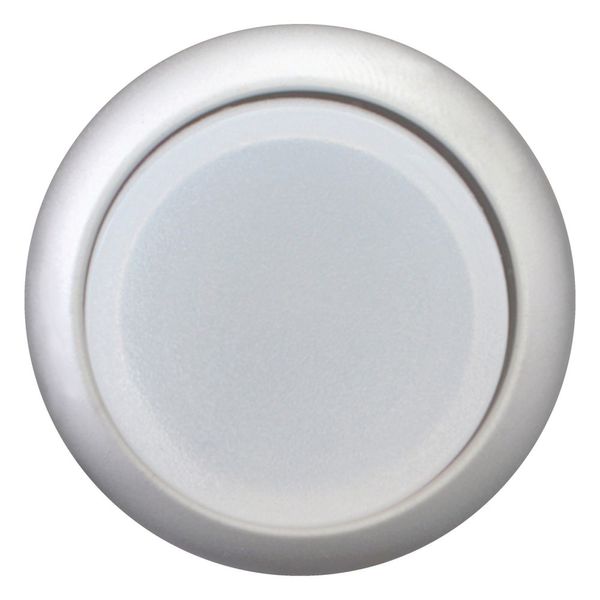 Illuminated pushbutton actuator, RMQ-Titan, Extended, momentary, White, Blank, Bezel: titanium image 9