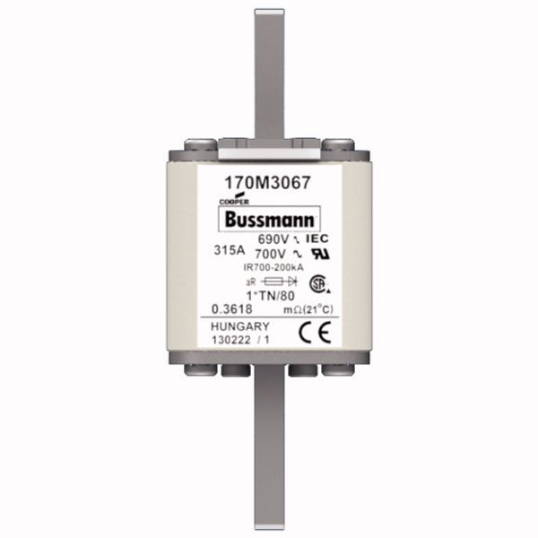 Fuse-link, high speed, 315 A, AC 690 V, compact DIN 1, 45 x 58 x 104 mm, aR, DIN, IEC, single indicator image 1