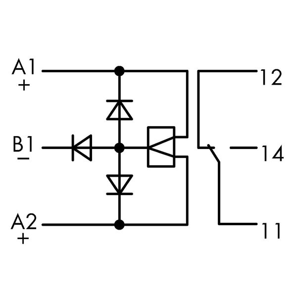 Bistable relay module Nominal input voltage: 24 VDC 1 changeover conta image 4