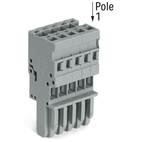 1-conductor female connector CAGE CLAMP® 4 mm² gray image 3