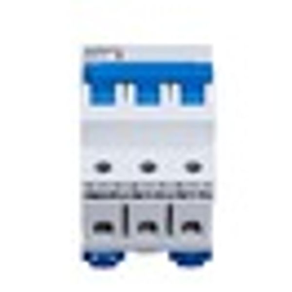 Miniature Circuit Breaker (MCB) AMPARO 6kA, B 50A, 3-pole image 3