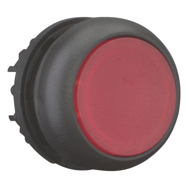 Illuminated pushbutton actuator, RMQ-Titan, Flush, momentary, red, Blank, Bezel: black image 8