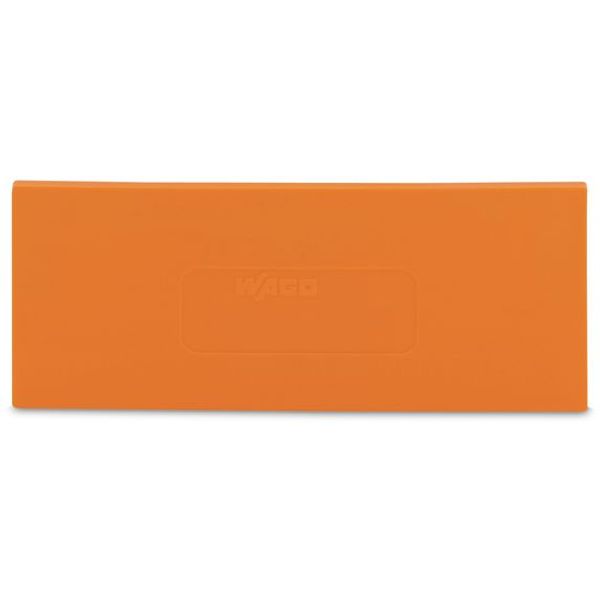 Separator plate 2 mm thick oversized orange image 1