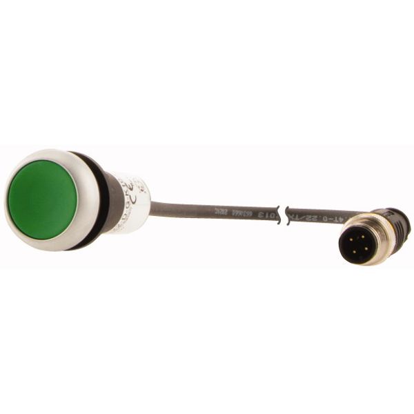 Pushbutton, Flat, momentary, 1 N/O, Cable (black) with M12A plug, 4 pole, 0.2 m, green, Blank, Bezel: titanium image 3