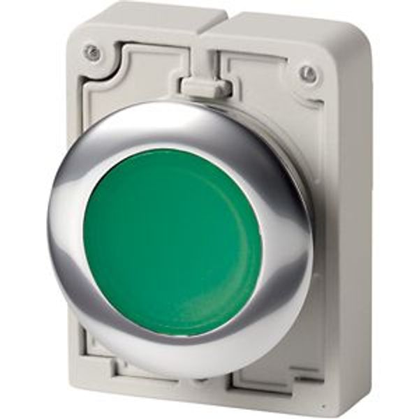 Illuminated pushbutton actuator, RMQ-Titan, Flat, maintained, green, Blank, Metal bezel image 8