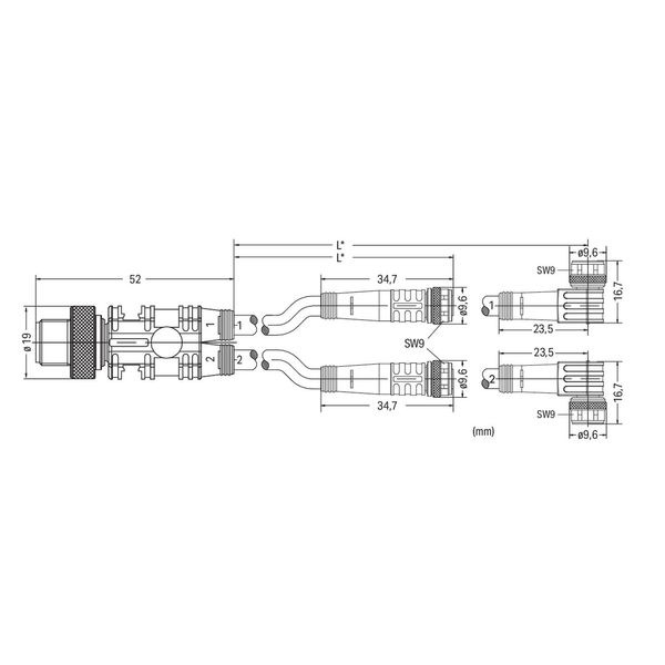 Sensor/Actuator cable 2xM8 socket angled M12A plug straight image 2