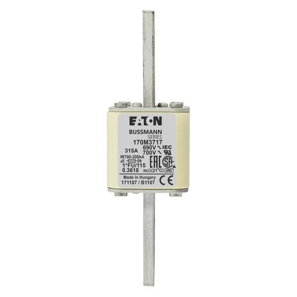 Fuse-link, high speed, 315 A, AC 690 V, compact size 1, 45 x 45 x 148 mm, aR, IEC, UL image 12