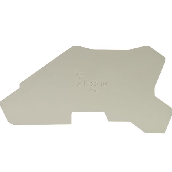 END PLATE APIF 2,5 TM image 1