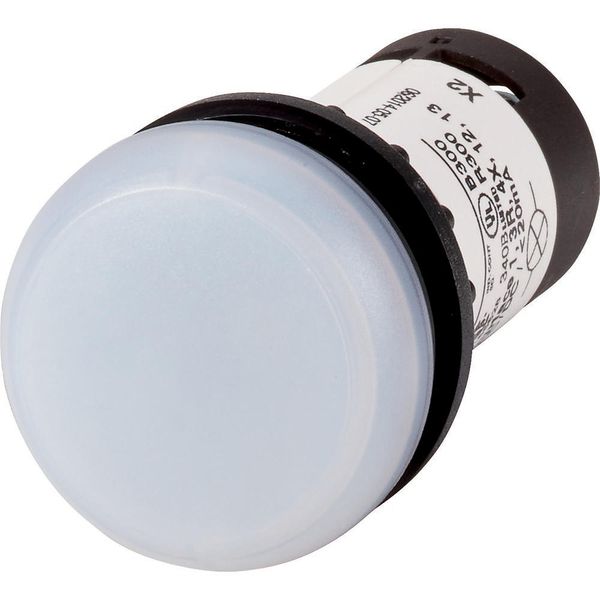 Indicator light, Flat, Screw connection, Lens white, LED white, 24 V AC/DC image 2
