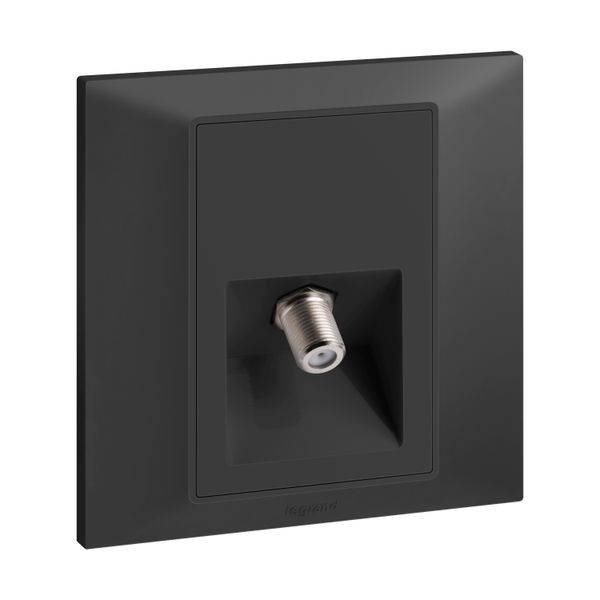 Socket TV Single -F- Type 7X7 Black, Legrand-Belanko S image 1