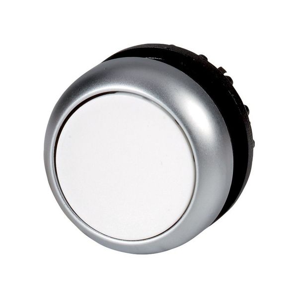 Pushbutton, RMQ-Titan, Flat, momentary, White, Blank, Bezel: titanium image 8