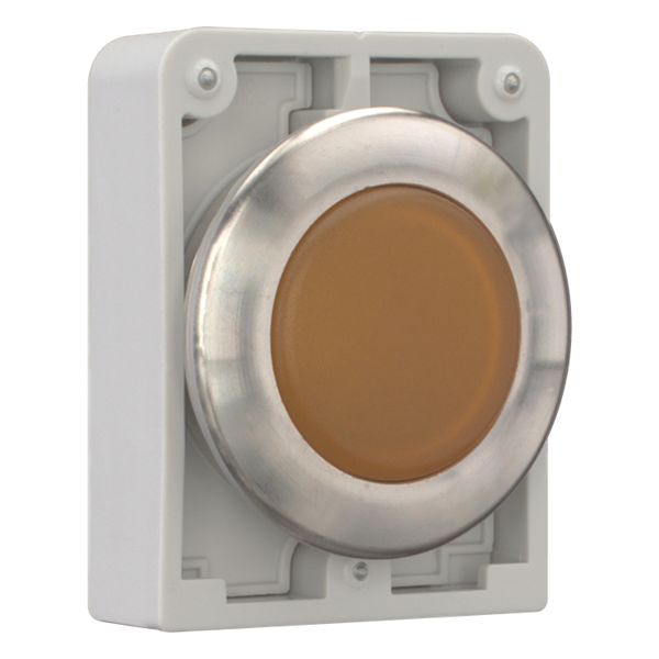 Indicator light, RMQ-Titan, flat, orange, Front ring stainless steel image 7