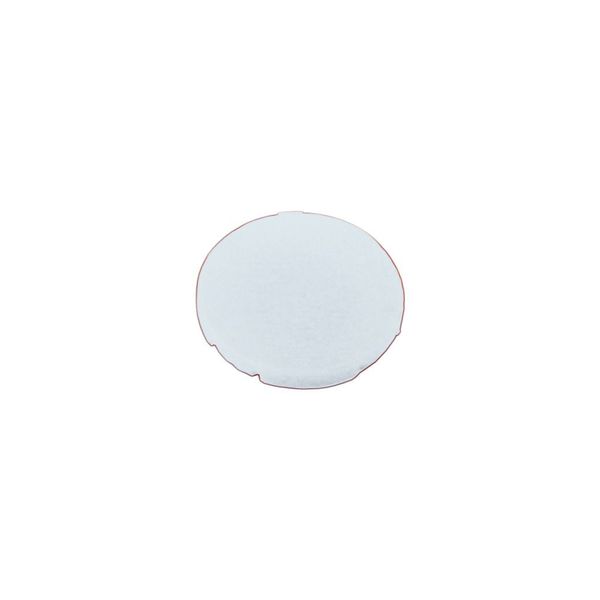 Button plate, flat white, blank image 3