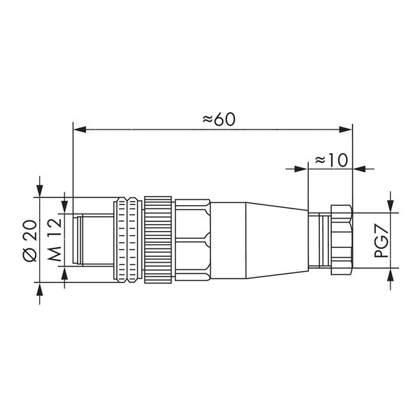 Fitted pluggable connector 5-pole M12 plug, straight, A-coded image 4