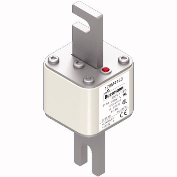 Fuse-link, high speed, 315 A, AC 690 V, DIN 1, 53 x 66 x 138 mm, aR, DIN, IEC, single indicator image 2