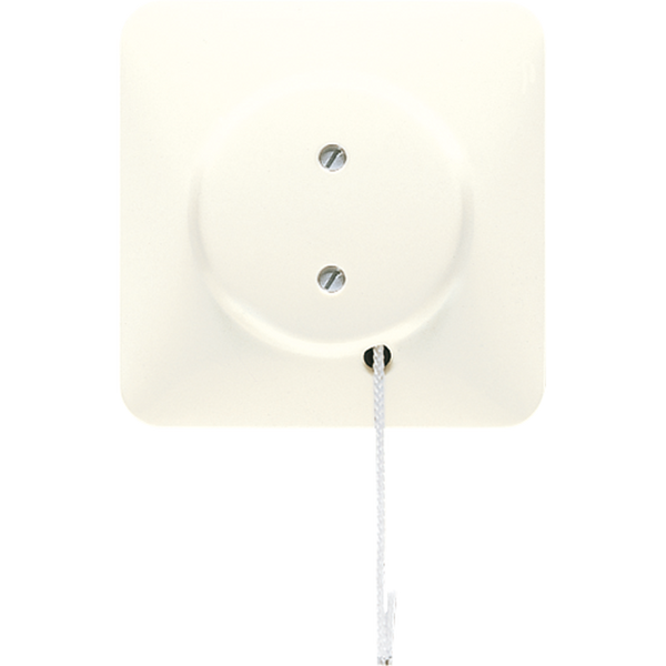 Pull-Cord Switch Z506NUZV image 1