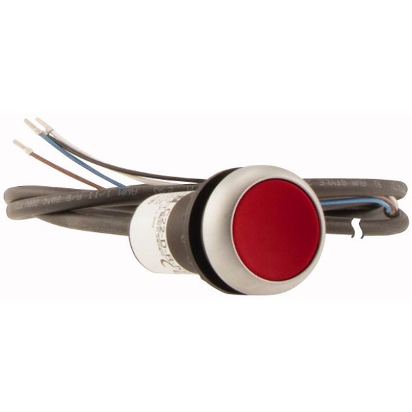 Pushbutton, Flat, momentary, 1 NC, Cable (black) with non-terminated end, 4 pole, 1 m, red, Blank, Bezel: titanium image 4