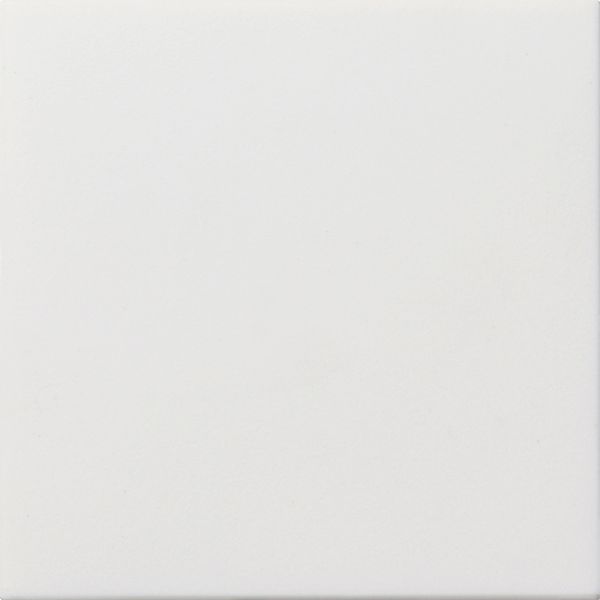 blank cov.pl. sup.ring Gira F100 p.white image 1