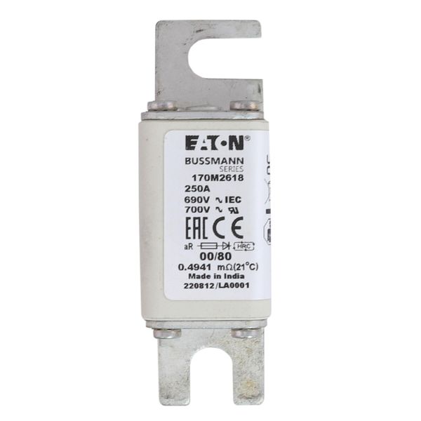 Fuse-link, high speed, 250 A, AC 690 V, DIN 00, 30 x 51 x 100 mm, aR, DIN, IEC, single indicator image 9