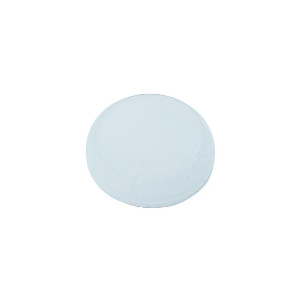Lens, indicator light white, flush, blank image 2
