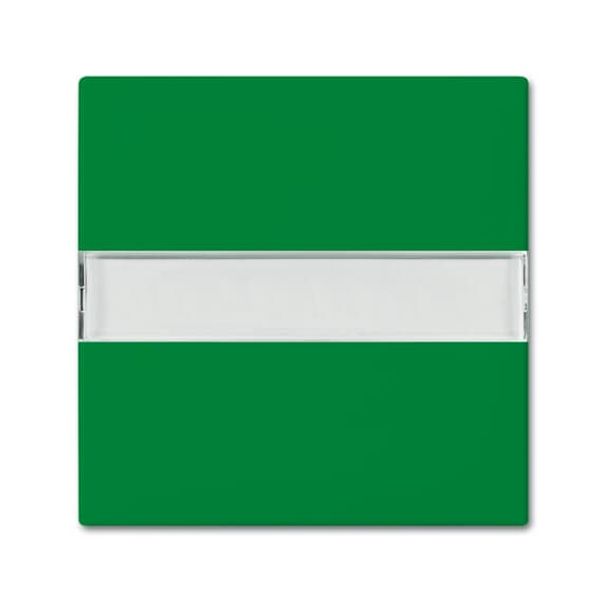 2510 NLI-13-914 CoverPlates (partly incl. Insert) Busch-balance® SI green image 2