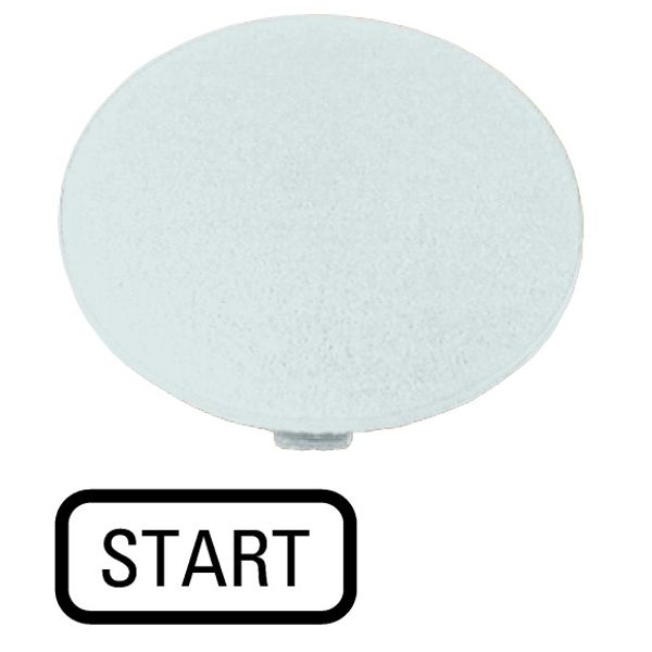 Button plate, mushroom black, START image 1