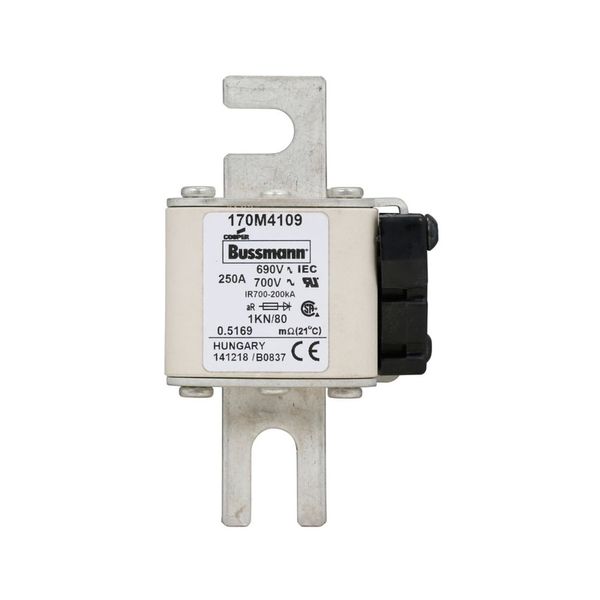 Fuse-link, high speed, 250 A, AC 690 V, DIN 1, 53 x 69 x 108 mm, aR, DIN, IEC, single indicator image 5