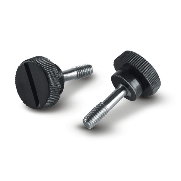 WINDOW SCREW image 1