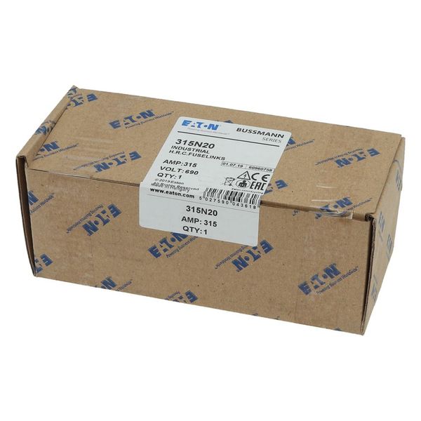 Fuse-link, low voltage, 315 A, AC 660 V, BS88, 49 x 110 mm, gL/gG, BS image 23