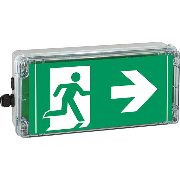 Ex-escape sign luminaires EXIT V-CG-S for emergency light function for zone 1/21, Pictogram: DIN ISO 7010, Arrow: 3 Clock image 1