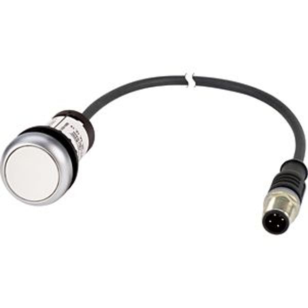 Pushbutton, Flat, momentary, 1 N/O, Cable (black) with M12A plug, 4 pole, 0.5 m, White, Blank, Bezel: titanium image 5